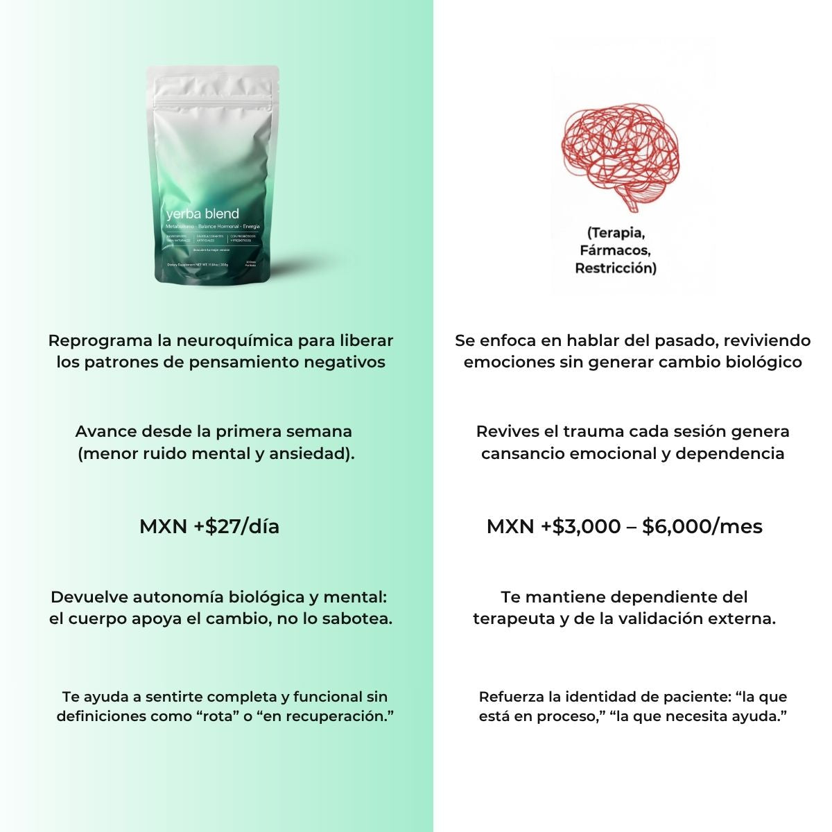 Yerba Blend - Té Protocolo de Identidad Neuronal