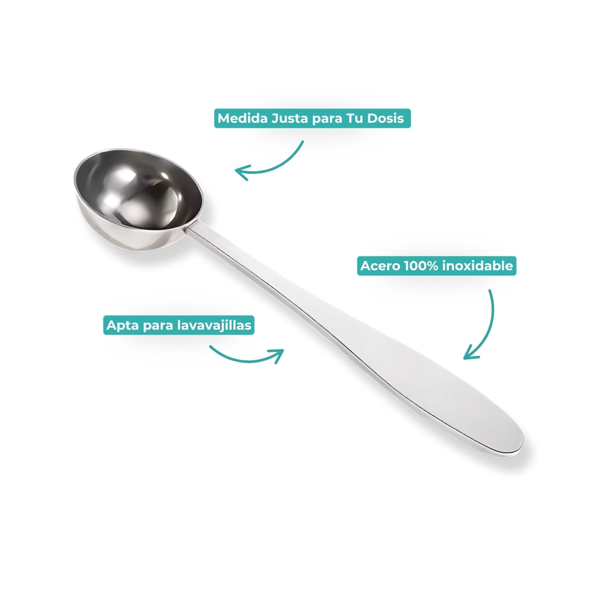Scoop Acero Inoxidable