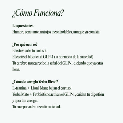 Yerba Blend | Té Hormonal Menopausia