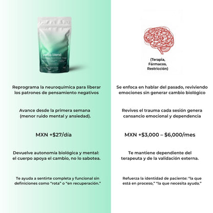 Yerba Blend - Té Protocolo de Identidad Neuronal