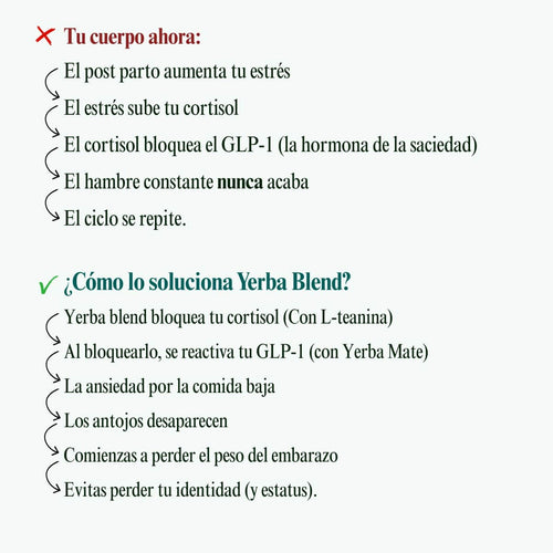 Yerba Blend | Té Antojos Postparto